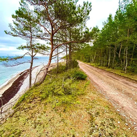 Вилла Wild Кихельконна