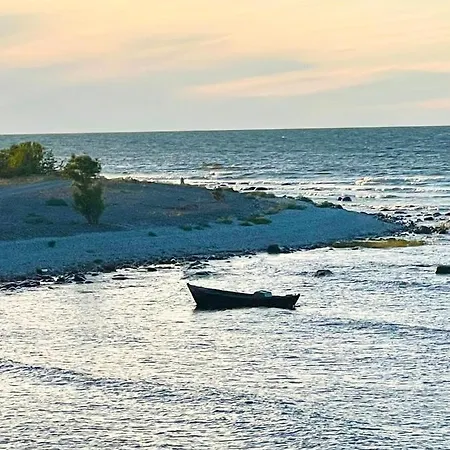Wild فيلة Kihelkonna
