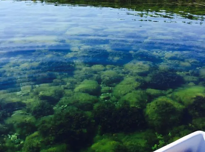 Wild Vila Kihelkonna